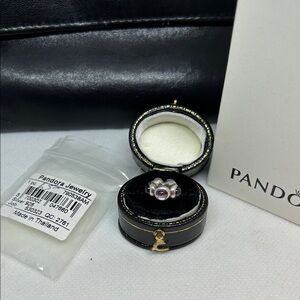 Pandora Sterling Silver & Amethyst Charm